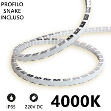 Striscia LED SNAKE 230V 4000k 5 mt. SV5M4