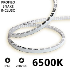 Striscia LED SNAKE 230V 6500k 5 mt. SV5M6